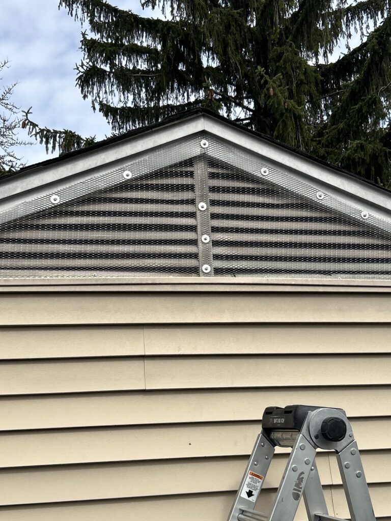 Wildlife Removal Hampshire IL - AquaText Inc. 2 Bird animal guard over gable